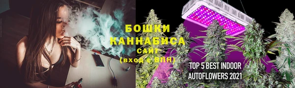 сатива Балабаново