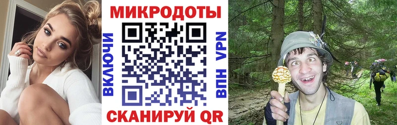 Псилоцибиновые грибы Psilocybine cubensis  Бирюсинск 